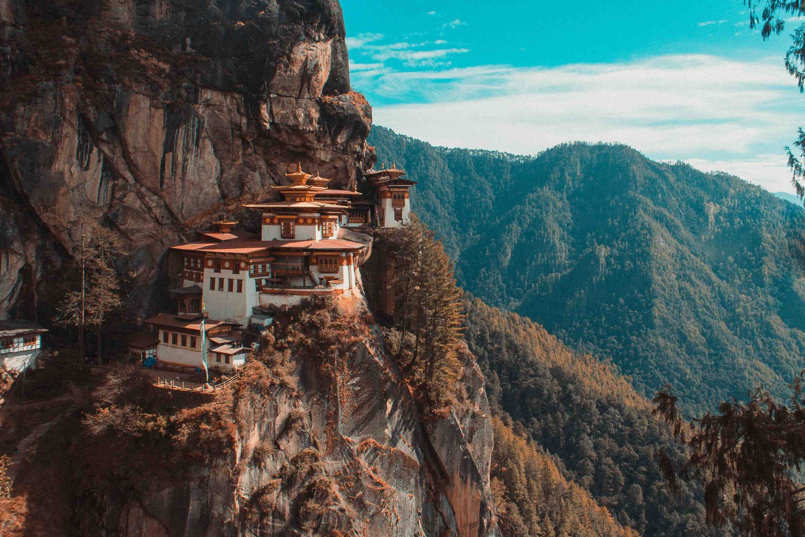 Thimphu & Paro